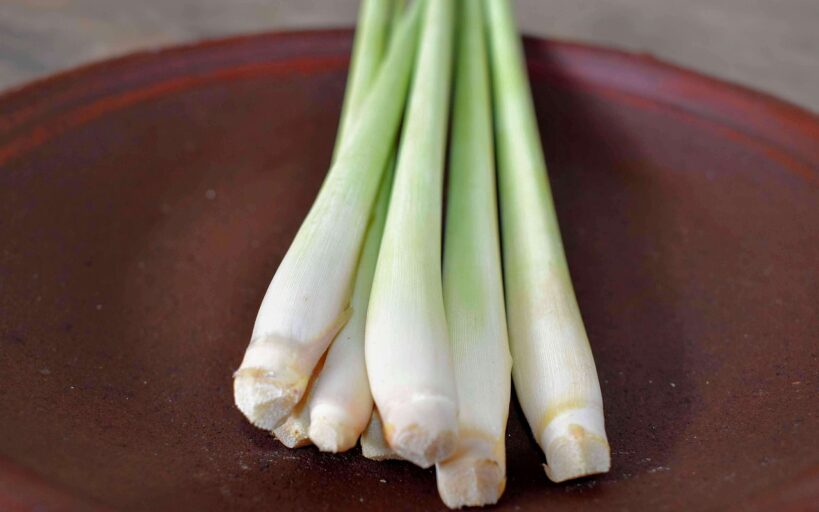 5_façons_d_utiliser_la_citronnelle_dans_votre_maison