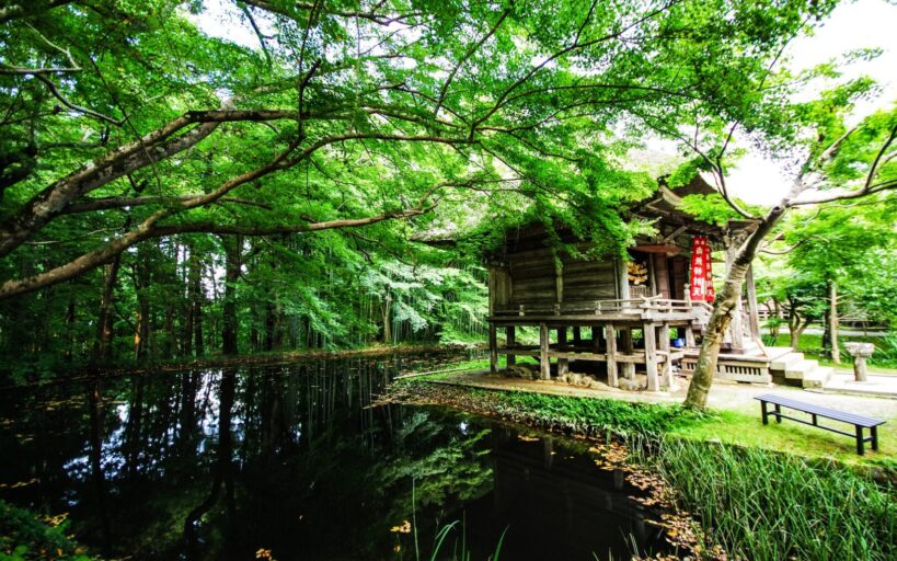9_bâtiments_naturels_pour_votre_inspiration_en_2021