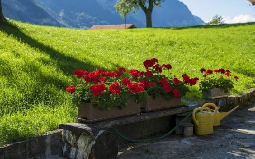 Aménagement_jardin_:_l_importance_pour_votre_éxtérieur
