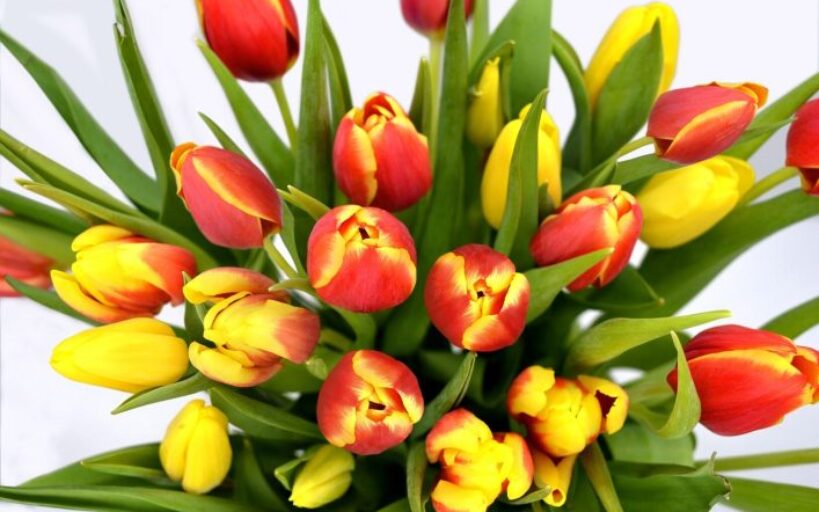 Conseils_simples_pour_disposer_les_fleurs_à_la_maison