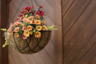 Transformez_votre_terrasse_avec_des_pots_de_cocotiers