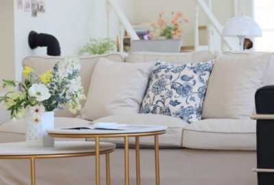 Comment_améliorer_la_qualité_de_l_air_dans_votre_maison