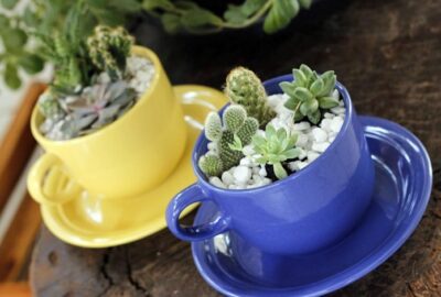 Comment_fabriquer_et_personnaliser_un_terrarium_à_offrir