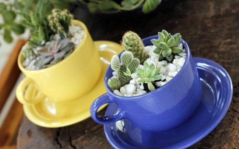 Comment_fabriquer_et_personnaliser_un_terrarium_à_offrir