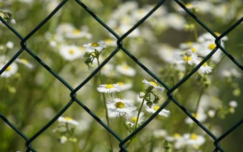 Comment_installer_une_clôture_en_aluminium_dans_son_jardin_?