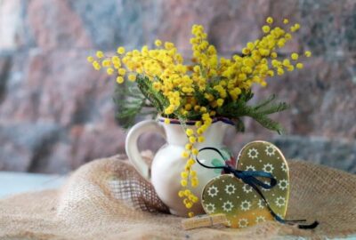 Idées_de_décoration_intérieure_printanière_pour_petit_budget