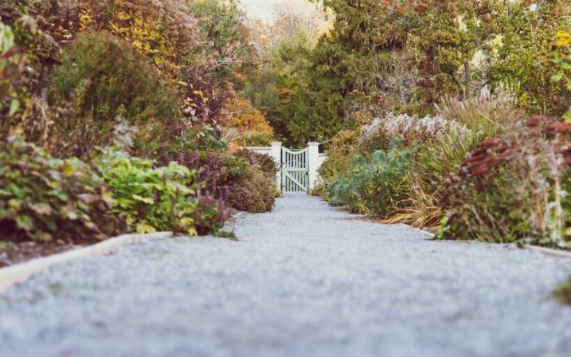 Comment_créer_une_allée_en_pierre_et_en_paillis_à_petit_prix_?