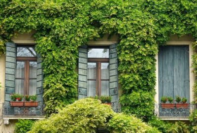 Comment_bien_choisir_ses_fenêtres?_Quel_style_de_fenêtre_choisir?