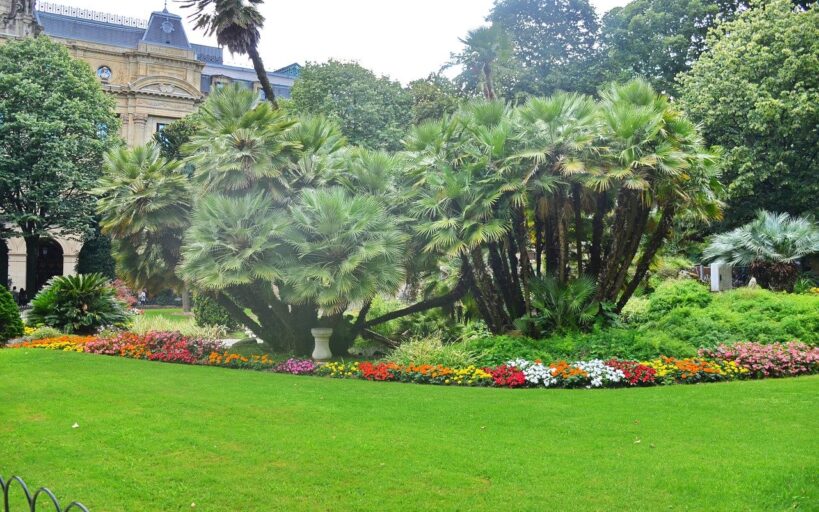 Comment optimiser la protection de votre jardin ?