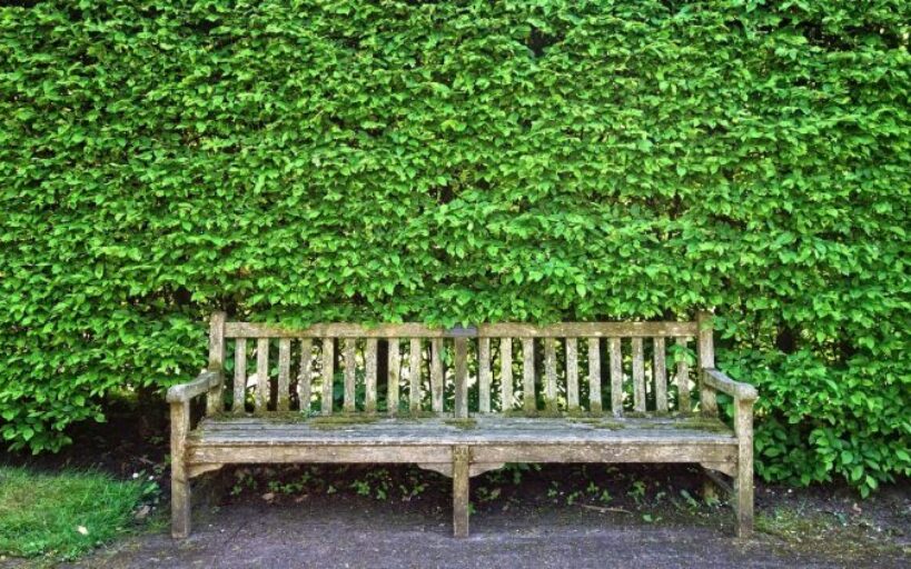 Mobilier urbain pour collectivités : que privilégier en priorité ?