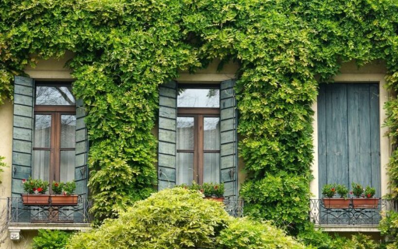 Comment_bien_choisir_ses_fenêtres?_Quel_style_de_fenêtre_choisir?