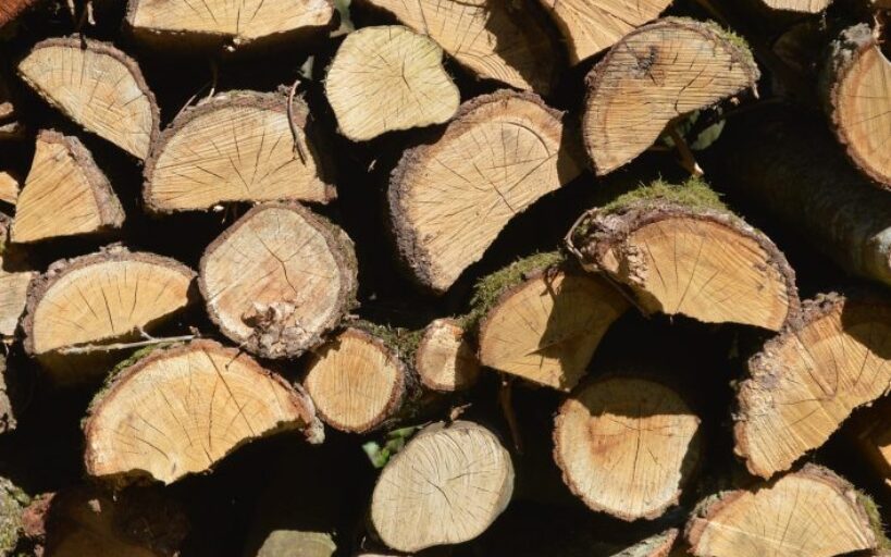 Pourquoi_faut_il_toujours_penser_à_traiter_son_bois_en_extérieur_?