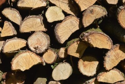 Pourquoi_faut_il_toujours_penser_à_traiter_son_bois_en_extérieur_?