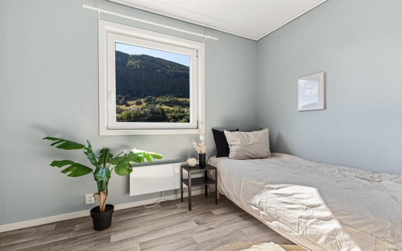 Une_plante_chambre_:_quelles_sont_les_meilleures_plantes_à_choisir_?