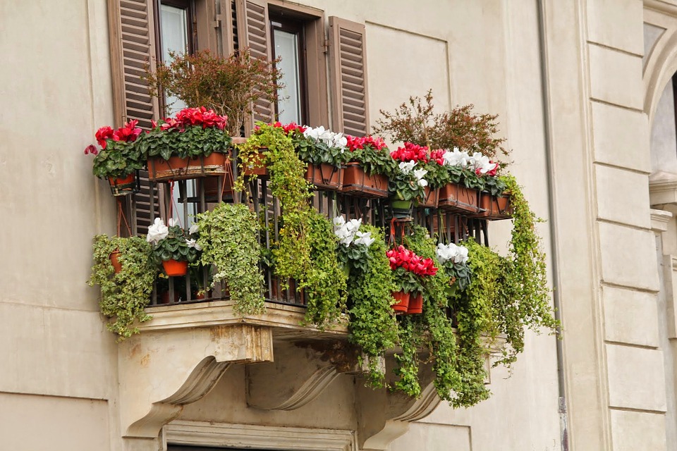 Comment fleurir son balcon en ville ?