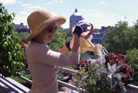fleurir-balcon