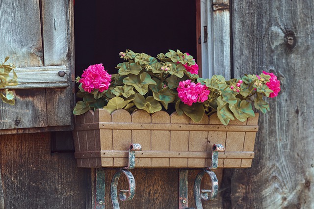 Balconnière : la meilleure façon de mettre en valeur vos plantes