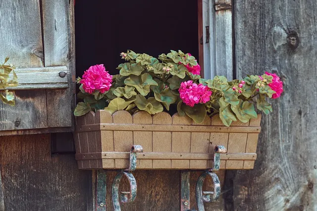 Balconnière : la meilleure façon de mettre en valeur vos plantes