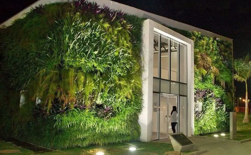 jardin en mur végétal