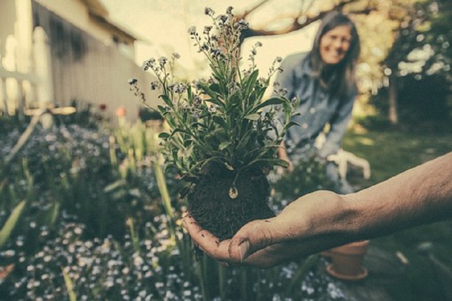 Un duo de conseils simples pour entretenir votre jardin