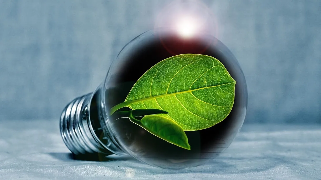 Transition énergétique : Vers une évolution des habitudes de consommation énergétique