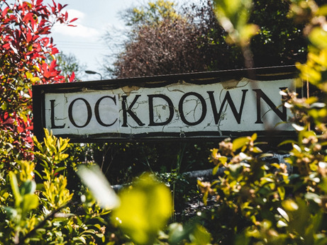 Le confinement a boosté les potagers