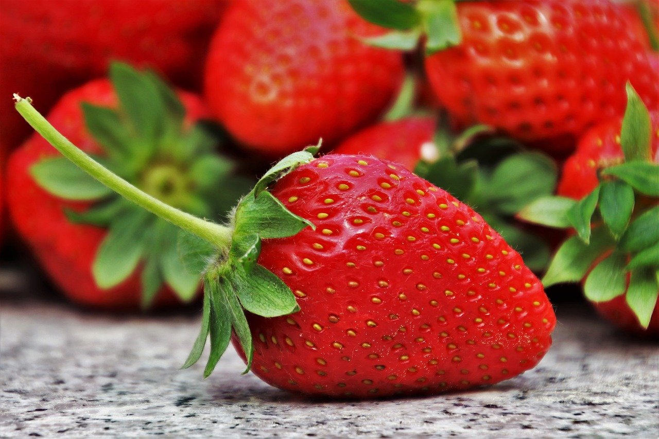 Tout ce que vous devez savoir sur la culture des fraises