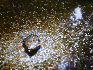 broderie diamant