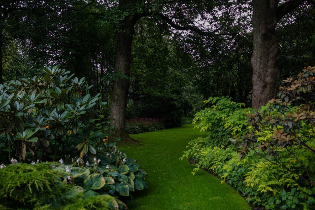 Paysagisme : pour un jardin harmonieux