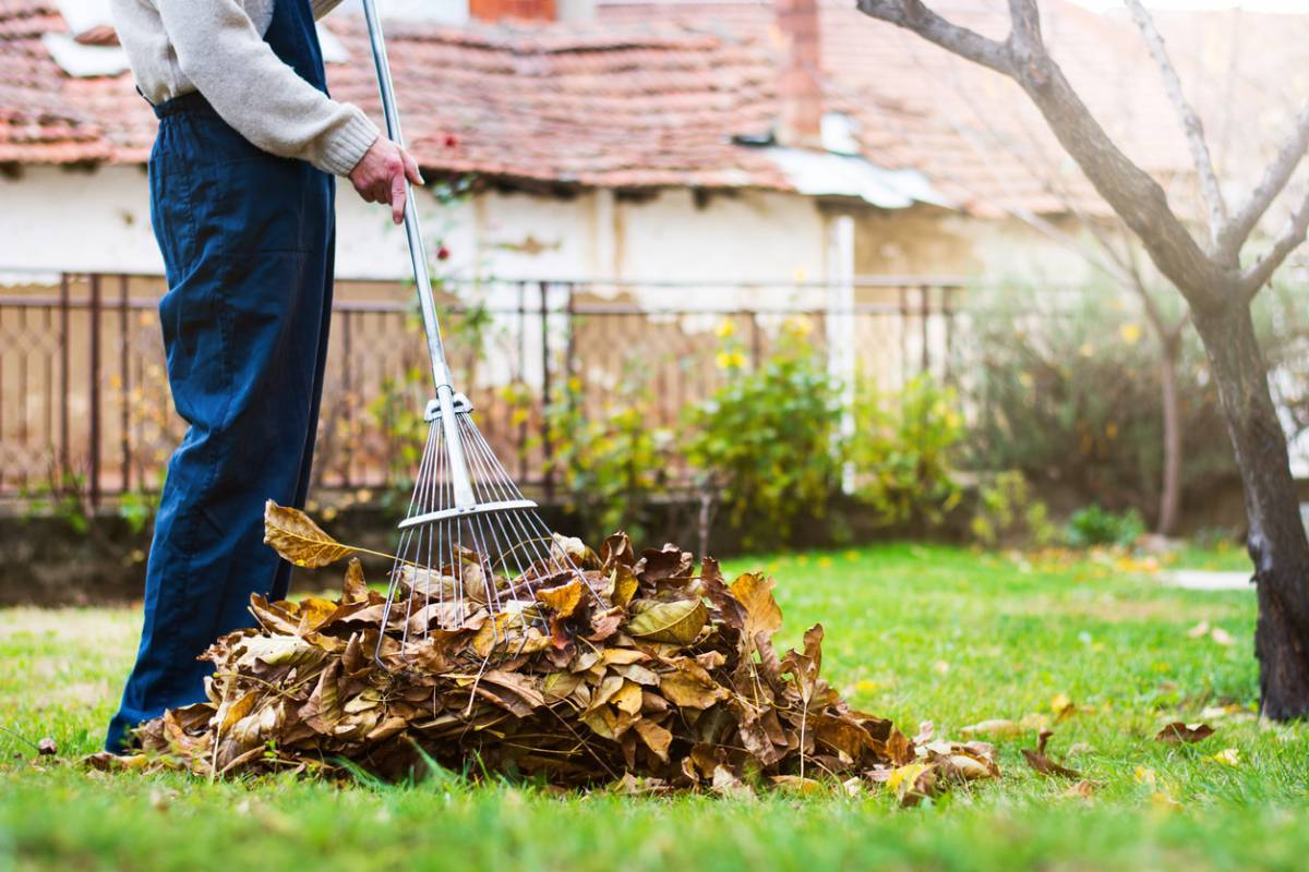 Ayez le réflexe zéro déchet dans le jardin cet été !