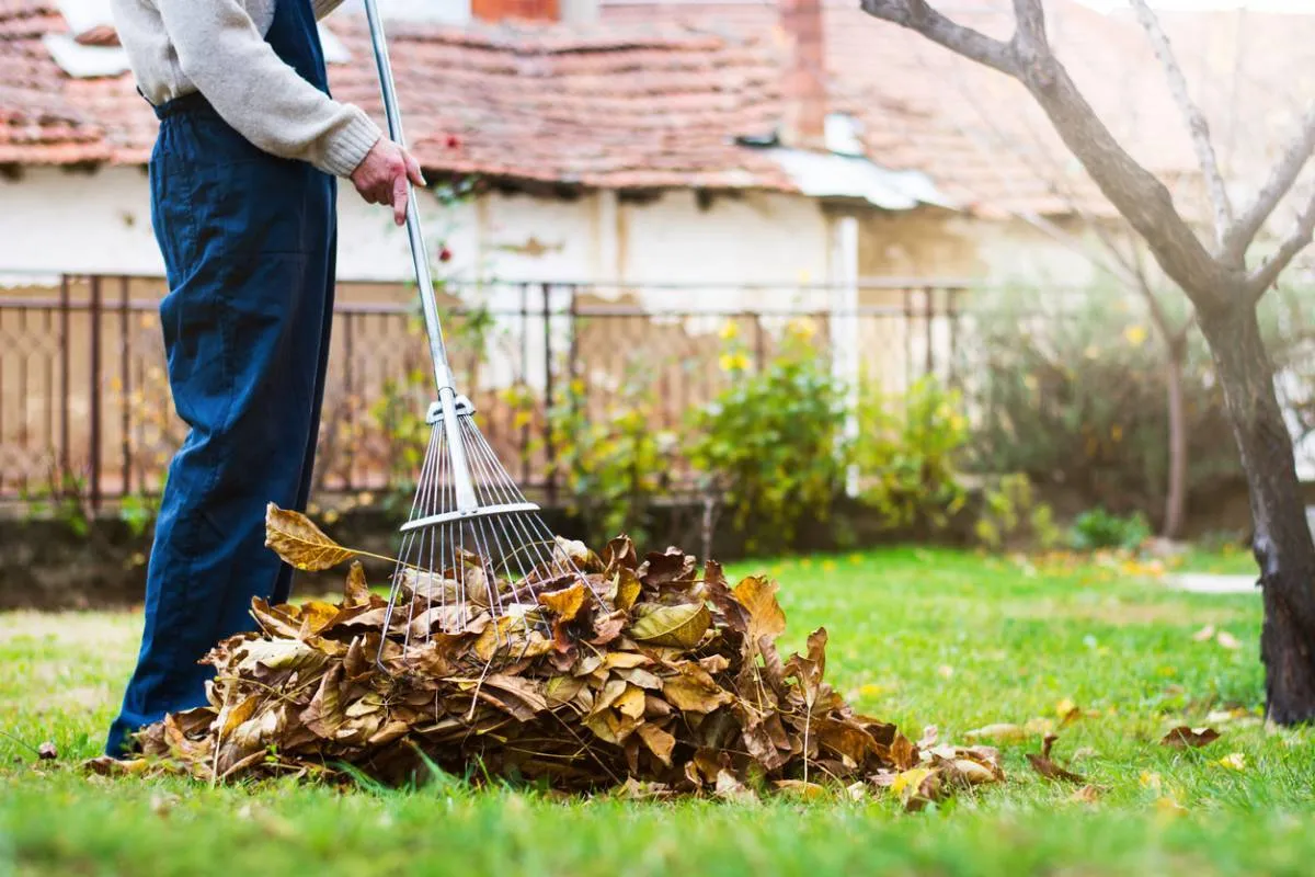 Ayez le réflexe zéro déchet dans le jardin cet été !
