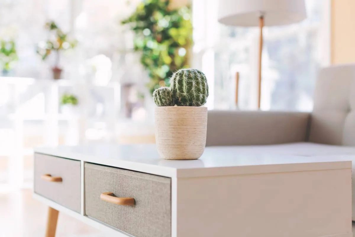 Meubles de rangement : place à la modularité !