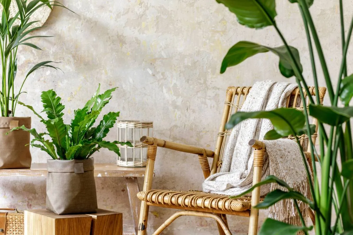 Maison : comment introduire le rotin dans sa déco ?