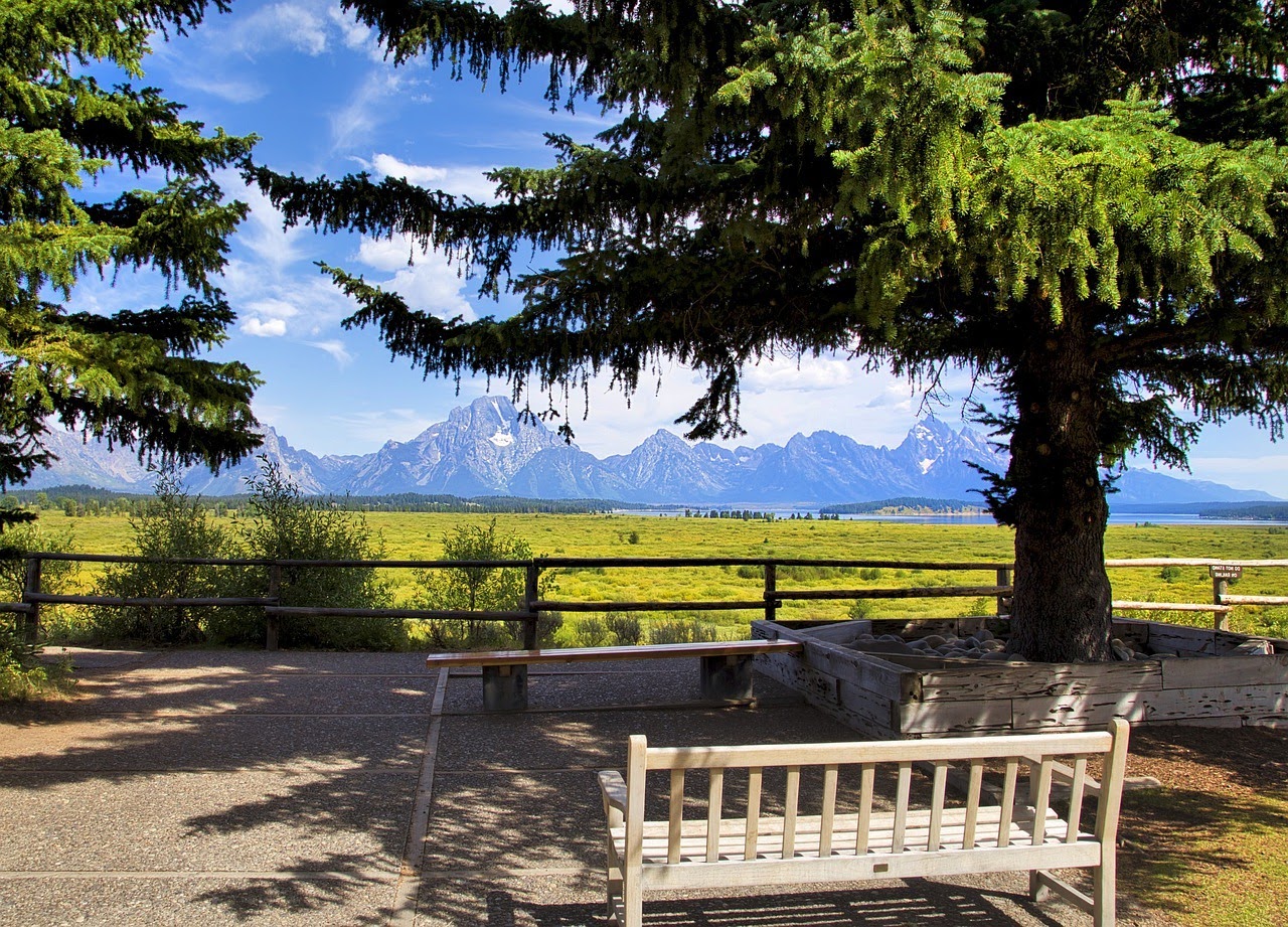 Le choix du mobilier urbain garantit l’esthétique d’un espace 