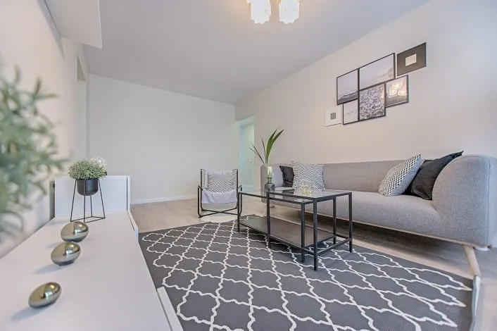 Choisir le tapis parfait pour son salon