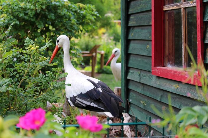 Quelle peinture pour son abri de jardin?