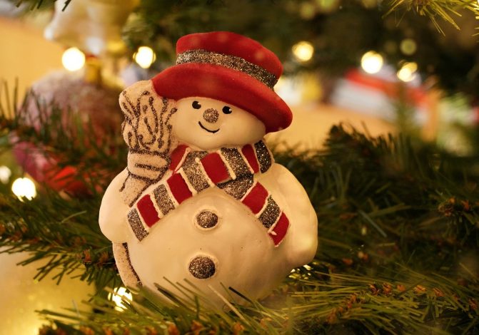 Trouvez le sapin idéal pour votre Noël