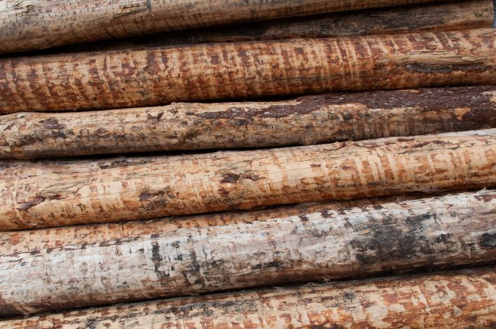 Tout savoir sur le bardage Red Cedar