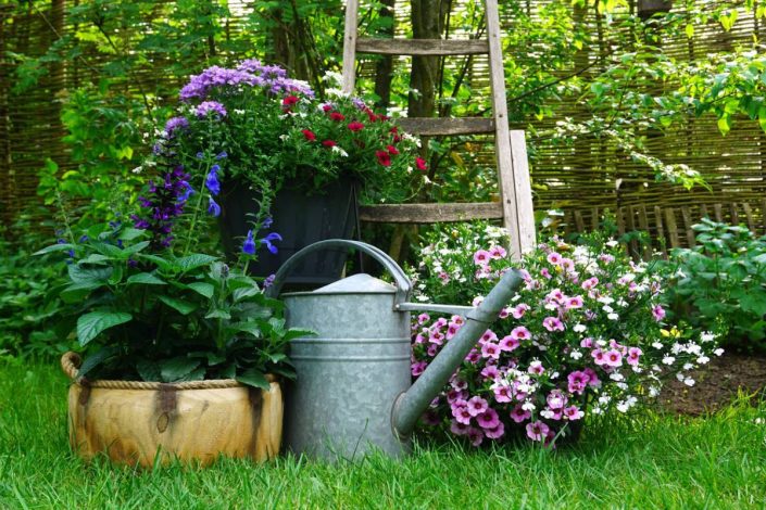 Un beau jardin grâce au paysagiste professionnel