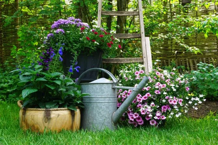 Un beau jardin grâce au paysagiste professionnel