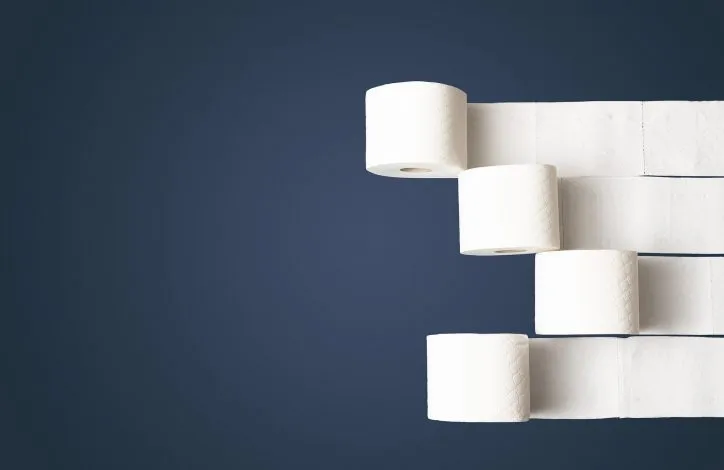 Comment faire pour éviter que les WC se bouchent ?