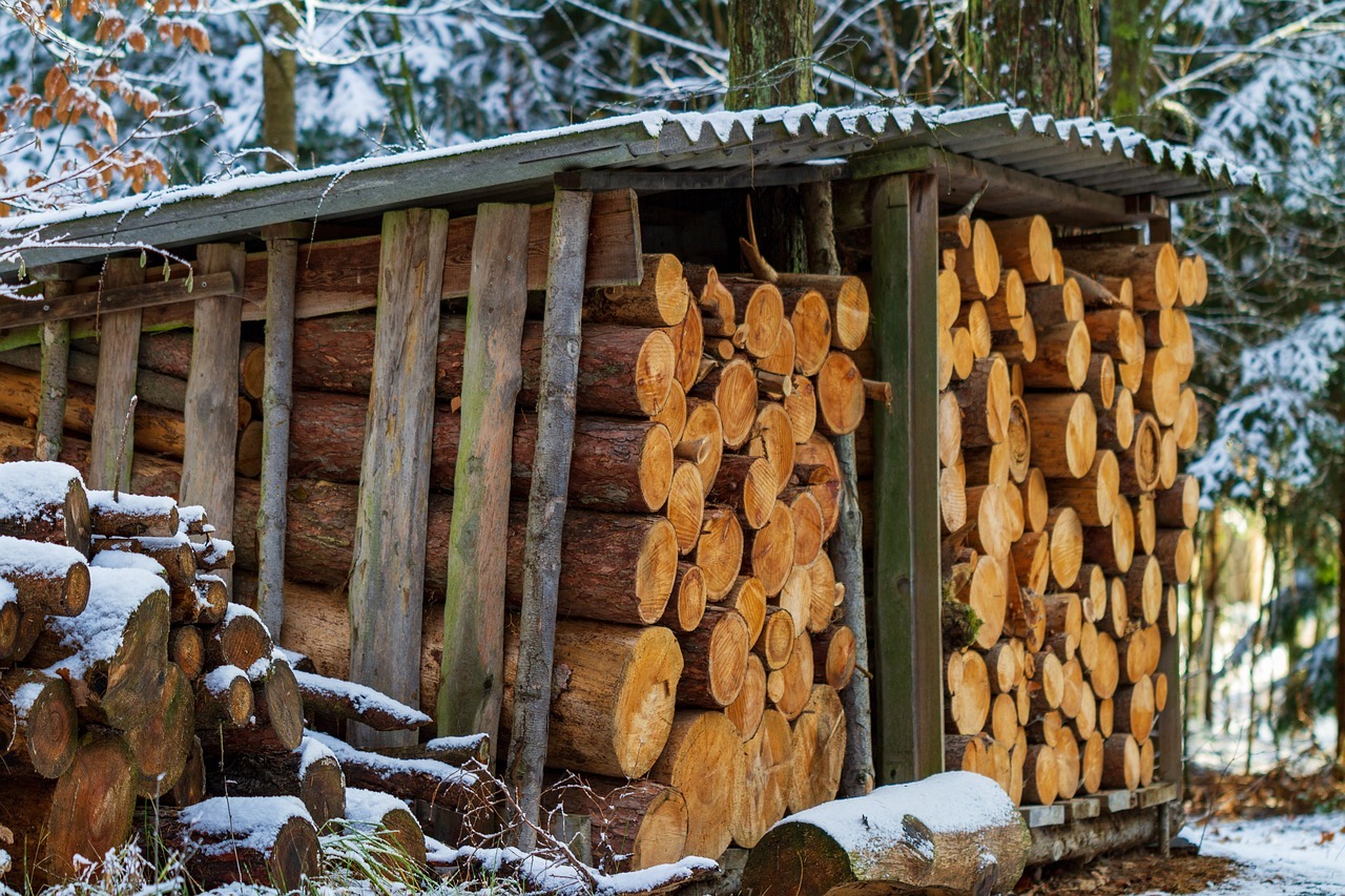 Choisir un poêle à bois