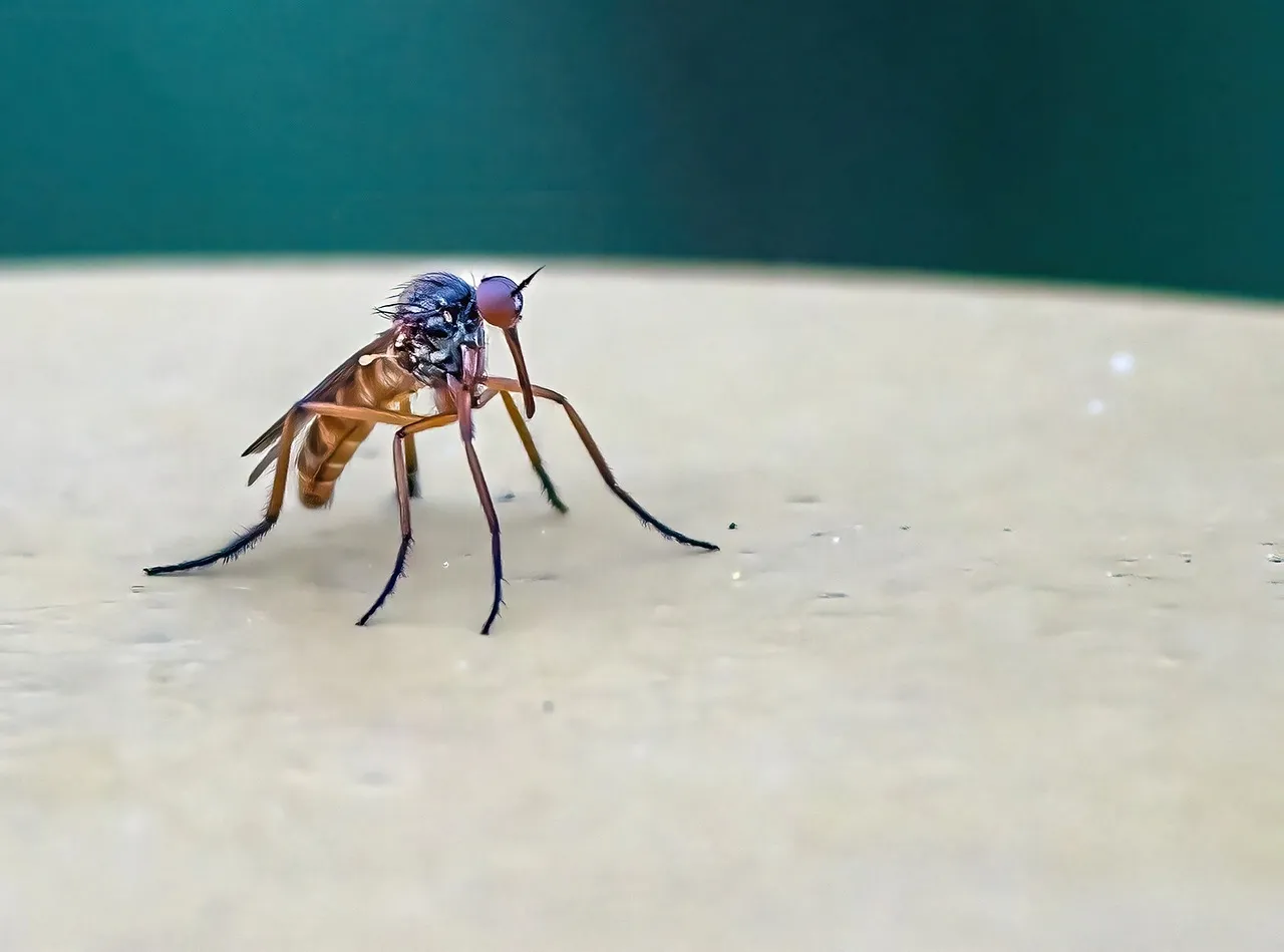 Comment se protéger des moustiques ?