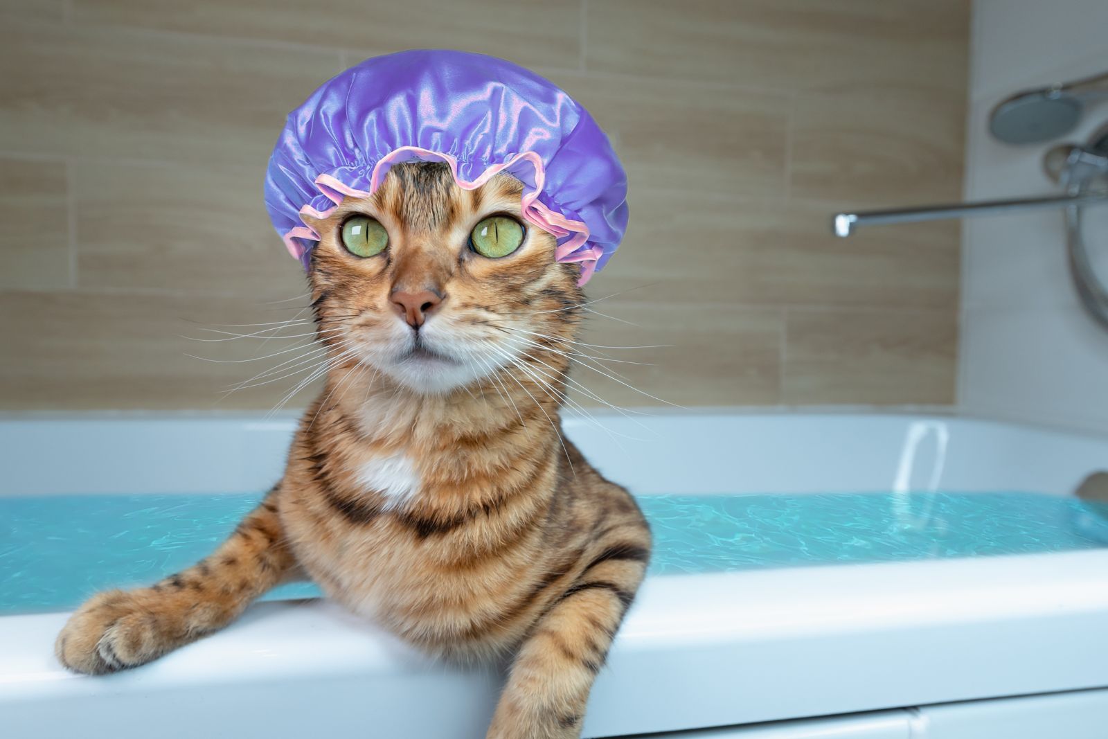 En 2025, la baignoire sera démodée : découvrez l’alternative plus pratique et tendance selon une décoratrice d’intérieur