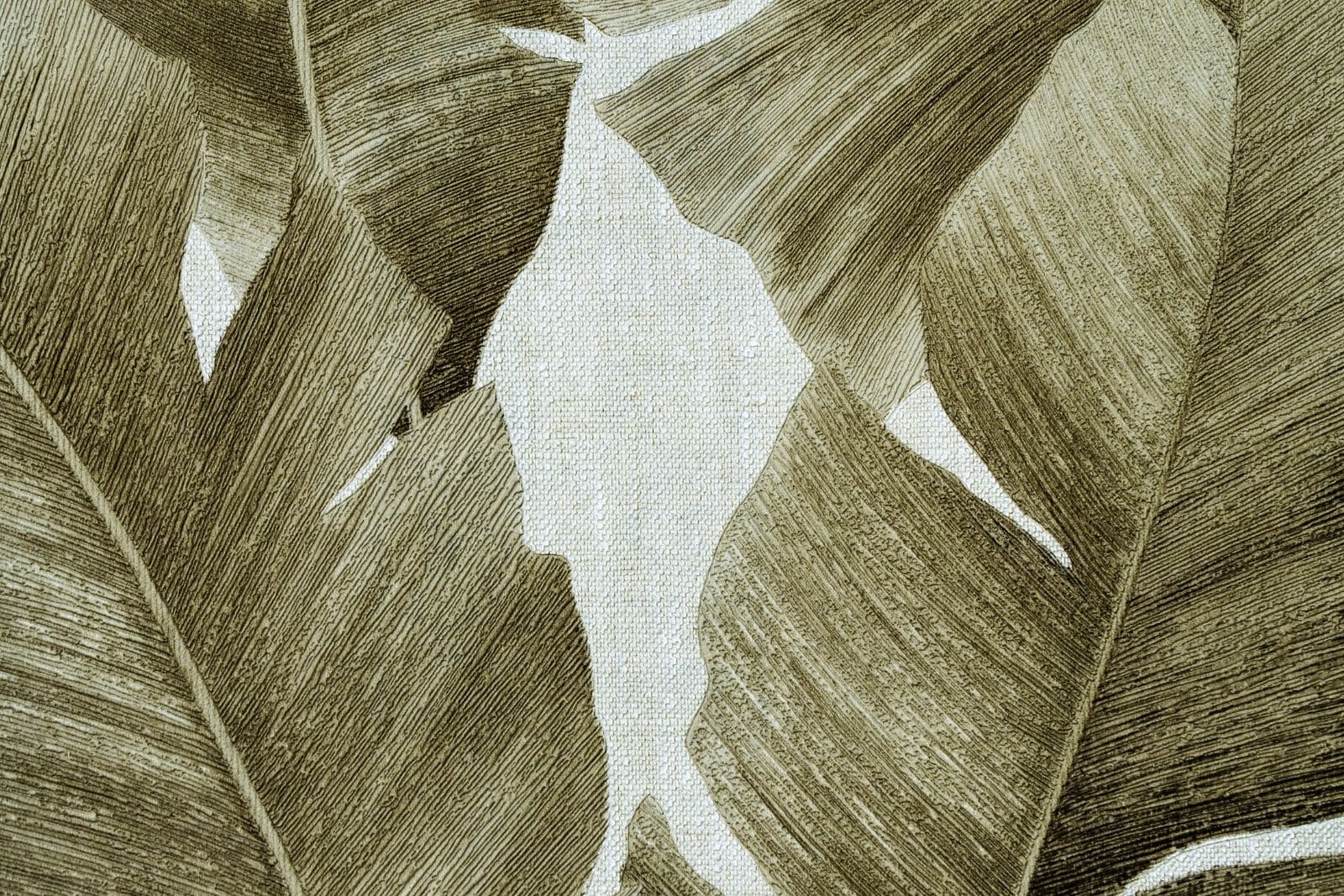 Le papier peint, c’est fini ! Découvrez ce qui le remplacera en 2025