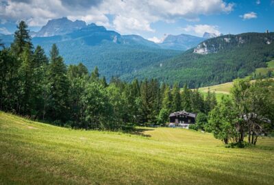 Investir_dans_une_forêt_pour_y_faire_sa_demeure_:_par_où_commencer_?_