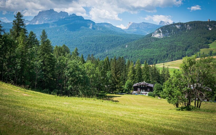 Investir_dans_une_forêt_pour_y_faire_sa_demeure_:_par_où_commencer_?_