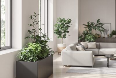 jardinière rectangulaire