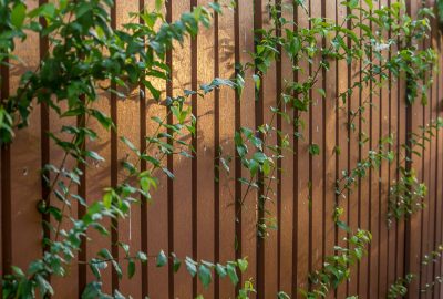 Aménagement extérieur : structurer son jardin avec un brise vue en bois