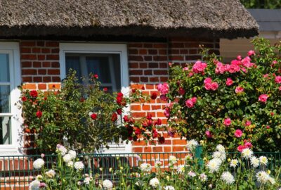 Astuces_pour_un_jardin_moderne_et_fleuri_:_réinventer_l_espace_extérieur